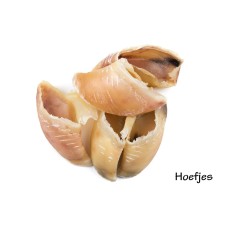 Hoefjes 10 stuks